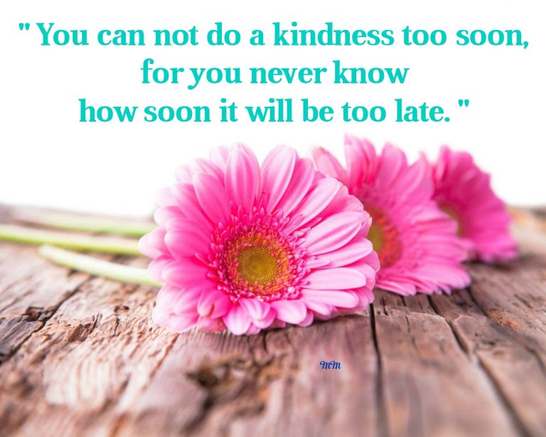 kindness.jpg?w=768